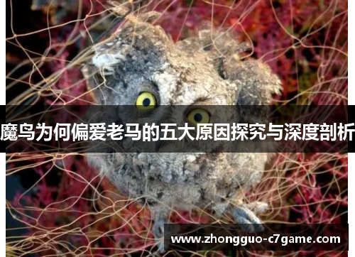 魔鸟为何偏爱老马的五大原因探究与深度剖析